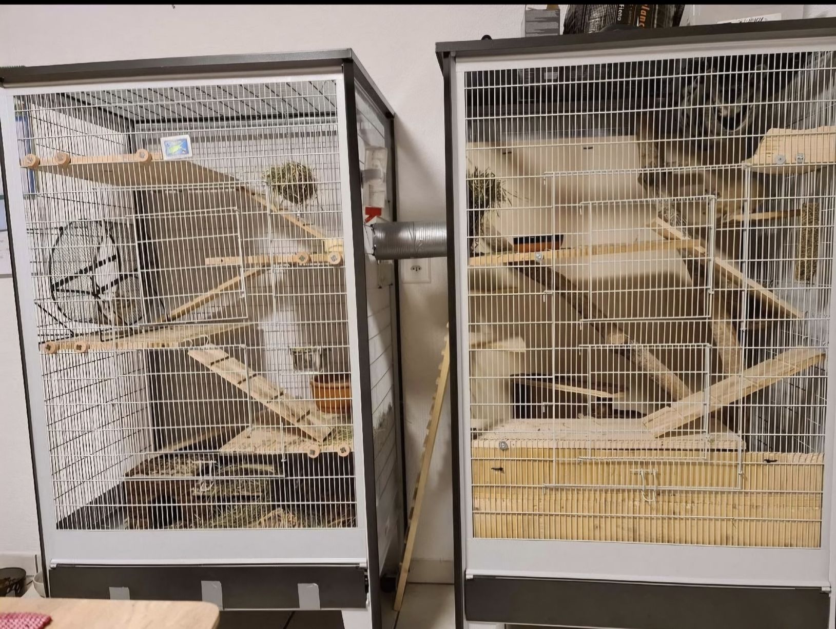 Gabbie, trasporto & Sicurezza: Cage rangueur ou oiseaux – Usato da Bösingen venduto da Romina221 1