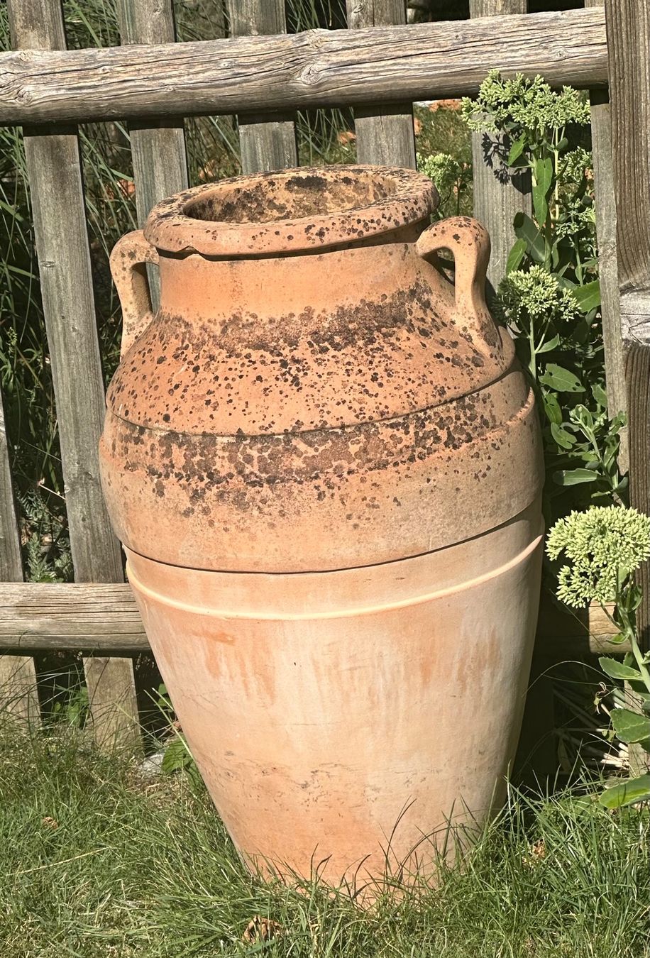 Pots de fleurs: Amphore Terracotta,  winterhart – D'occasion à Winterthur par BaHu 1