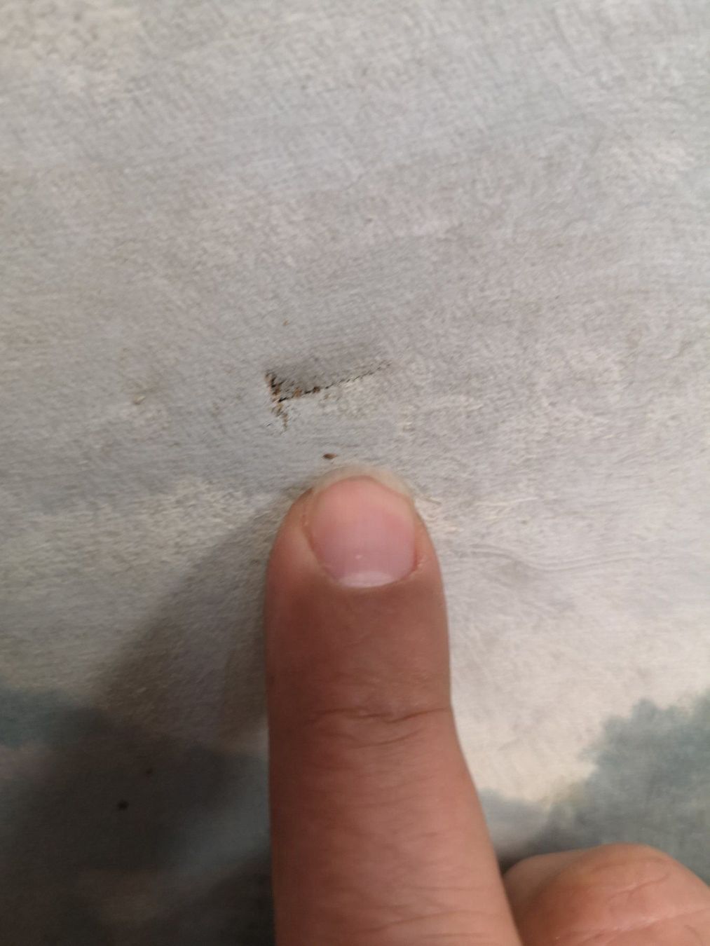 Dipinti: HUILE SUR TOILE SIGNÉE – Usato da Genève venduto da Qanil77 5