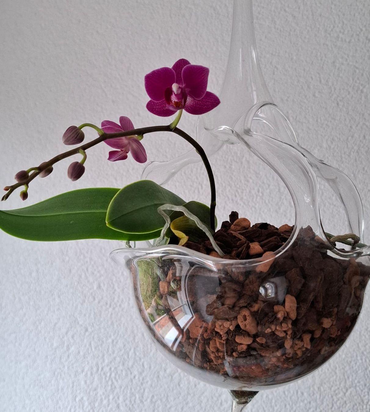 Bicchieri: Orchideenglas – Nuovo (secondo la descrizione) da Grenchen venduto da Schlussliecht 4