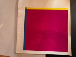 Richard Paul Lohse- Modulare & serielle Ordnungen 1976