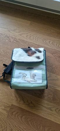 Kinder Rucksack Eisbären Print Mintgrün