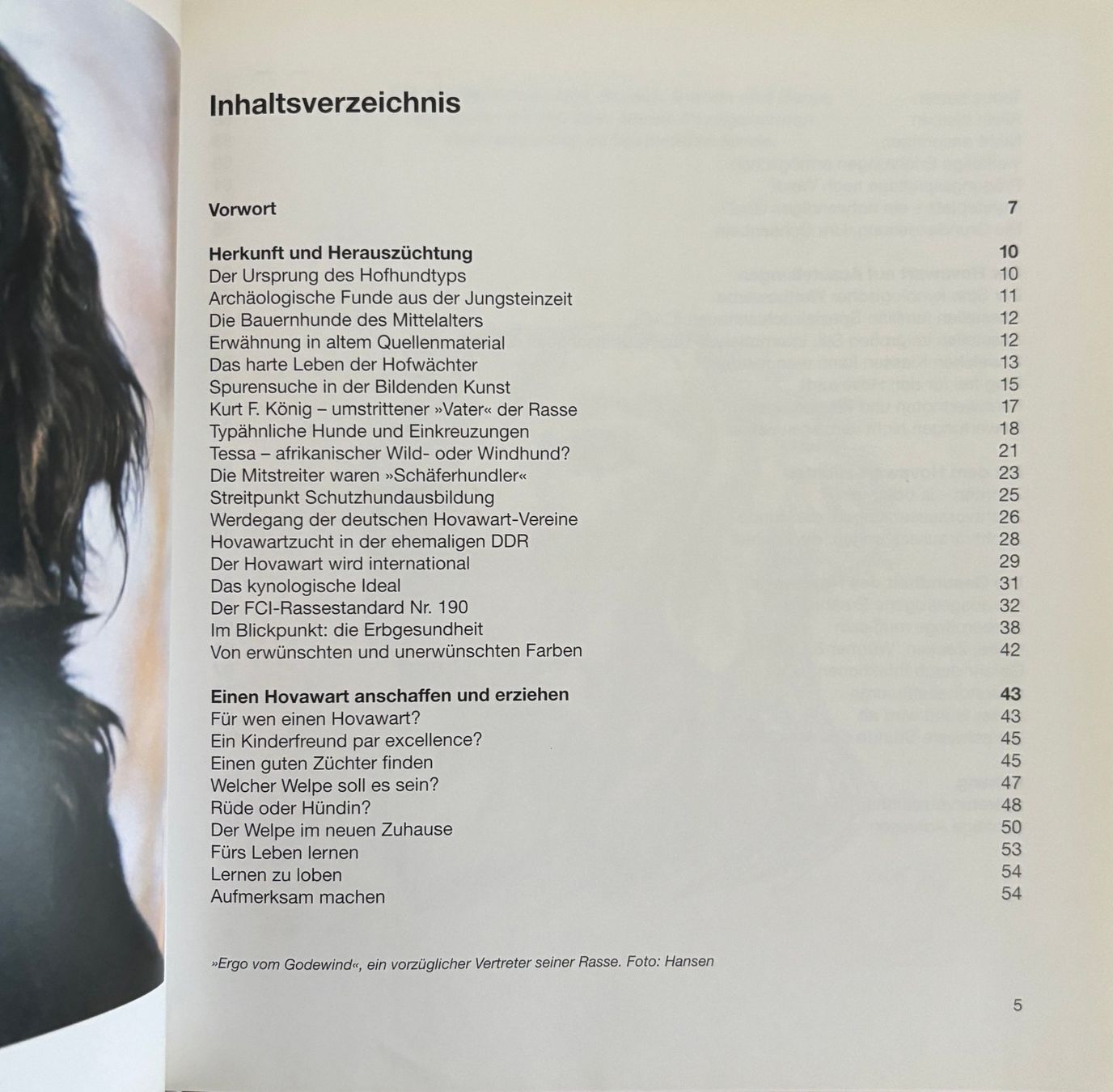 Libri: Kerl Susanne, Hovawart – Nuovo (secondo la descrizione) da Sarnen venduto da Livres 3