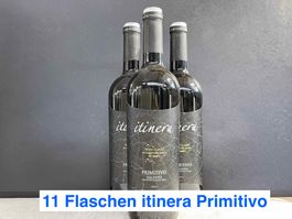 🍷   11 Itinera Primitivo Salento 2024