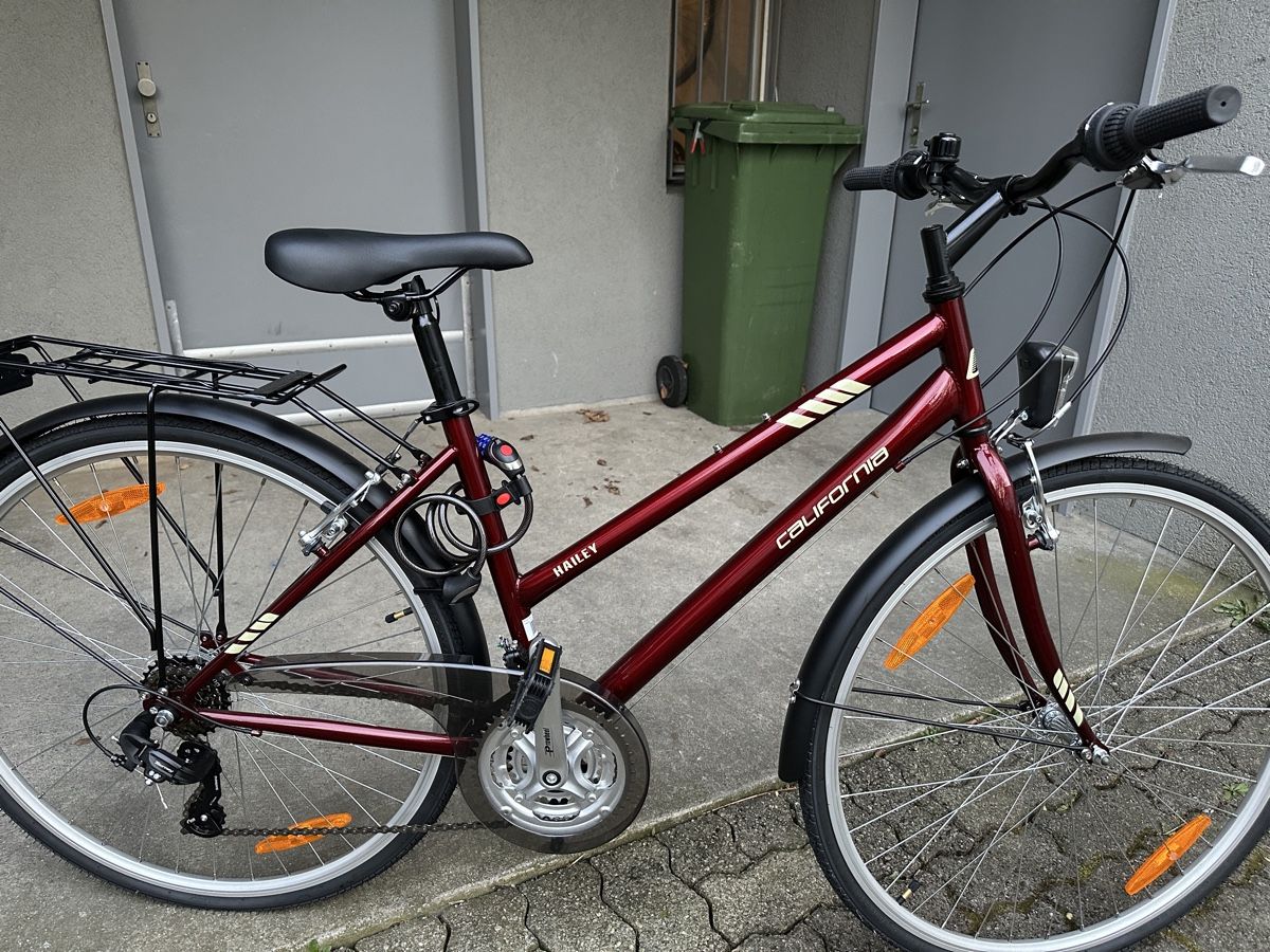 Biciclette: Velo – Nuovo (secondo la descrizione) da Zürich venduto da sanmugalingam01