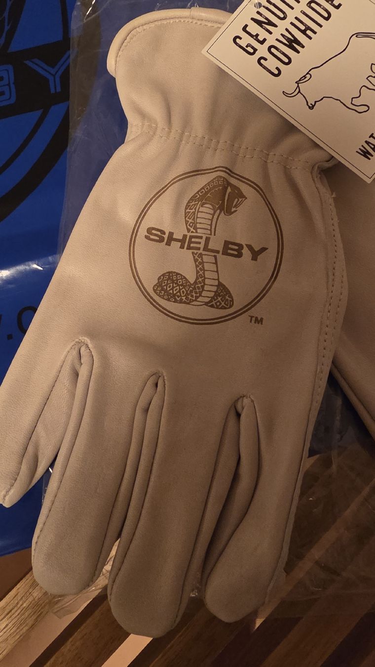 Autres accessoires hommes: Shelby Handschuhe Rindsleder – Neuf avec emballage d'origine à Wildhaus par jimster 1