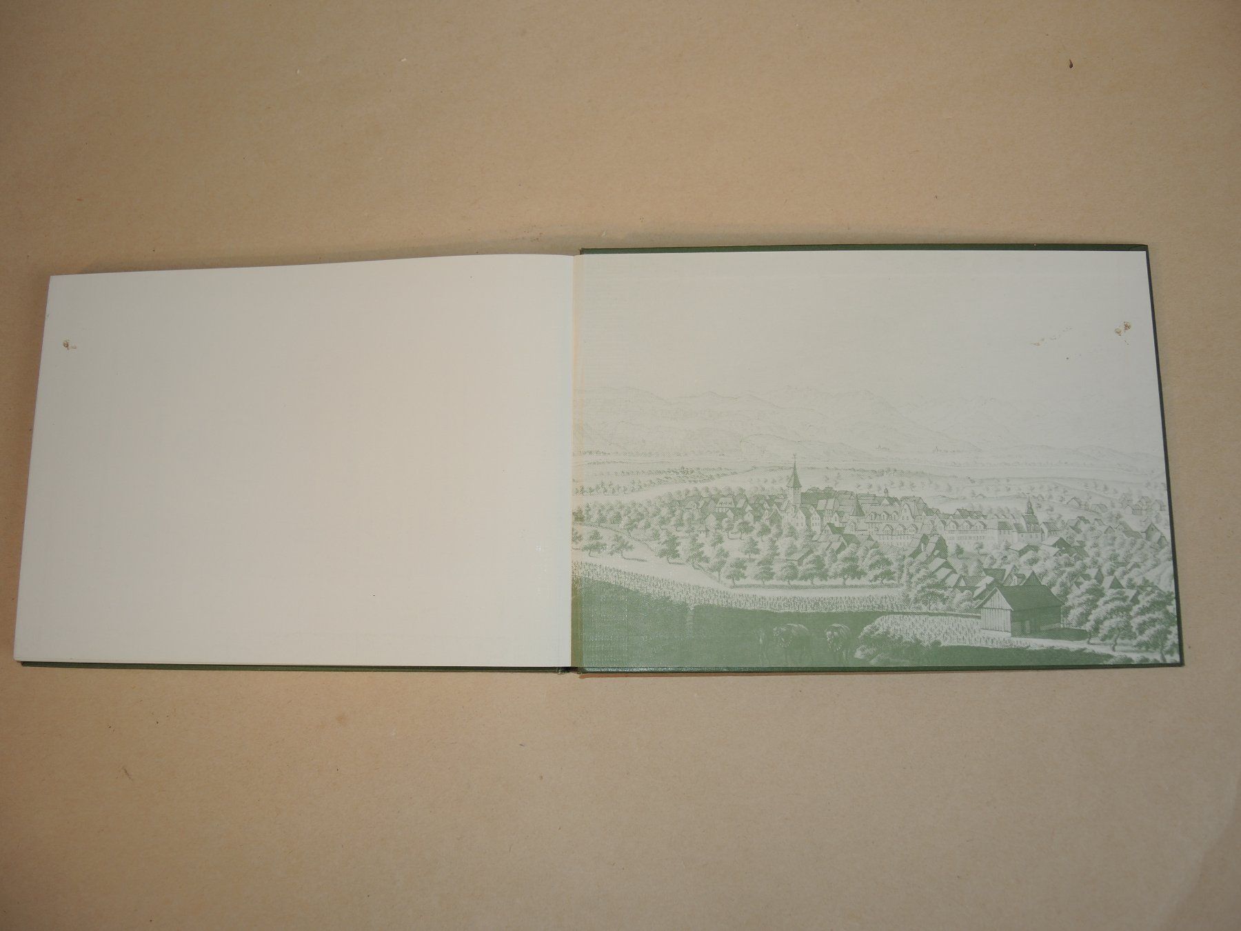 Libri: Altstätten um 1900 : 105 Ansichtskarten Weber Heiden – Usato da Rorschach venduto da maeck8 6