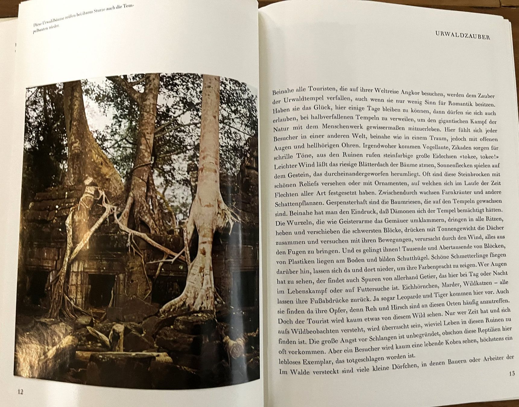Libri: Silva Verlag, Angkor , 1965 – Usato da Oftringen venduto da Vucki 5