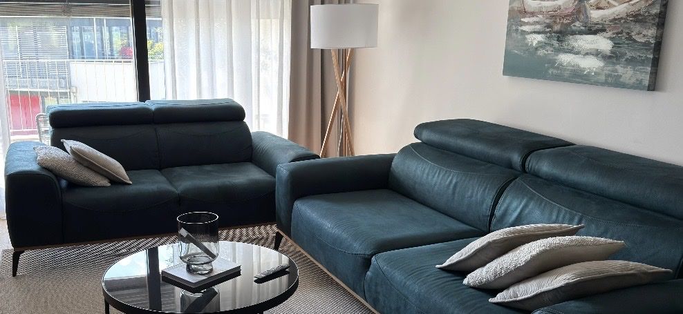 Divani: Sofa set – Usato da Küssnacht am Rigi venduto da pet_h97d