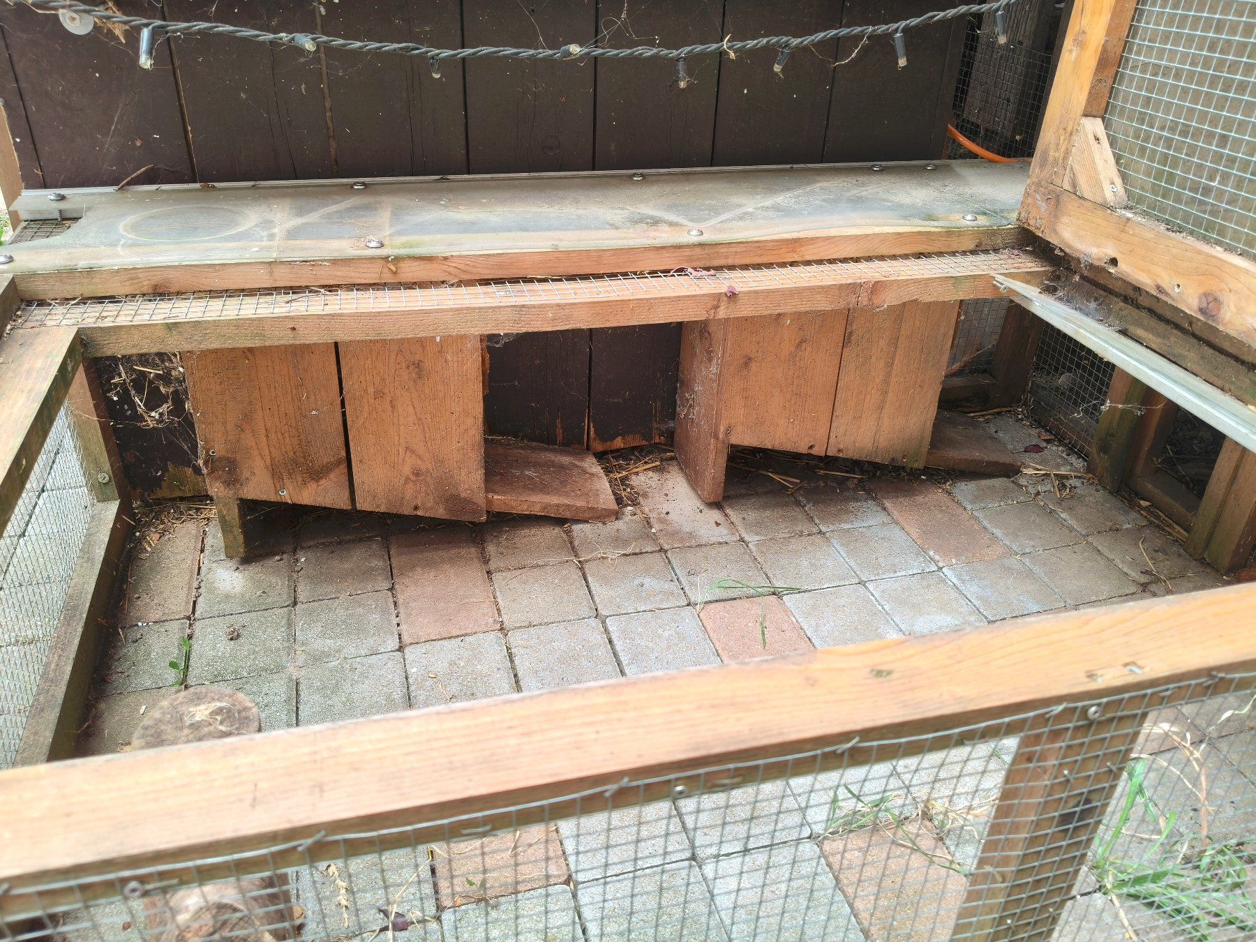 Cucce & Letti: Keintierstall / Hundehütte – Usato da Lotzwil venduto da Schaub4932 2