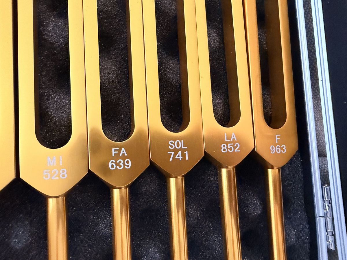 Strumenti musicali: Stimmgabel-Set mit Koffer 10-teilig – Usato da Rorschach venduto da nan_8rts 3