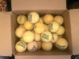 100 Bälle Babolat Gold (Druckball) gebraucht