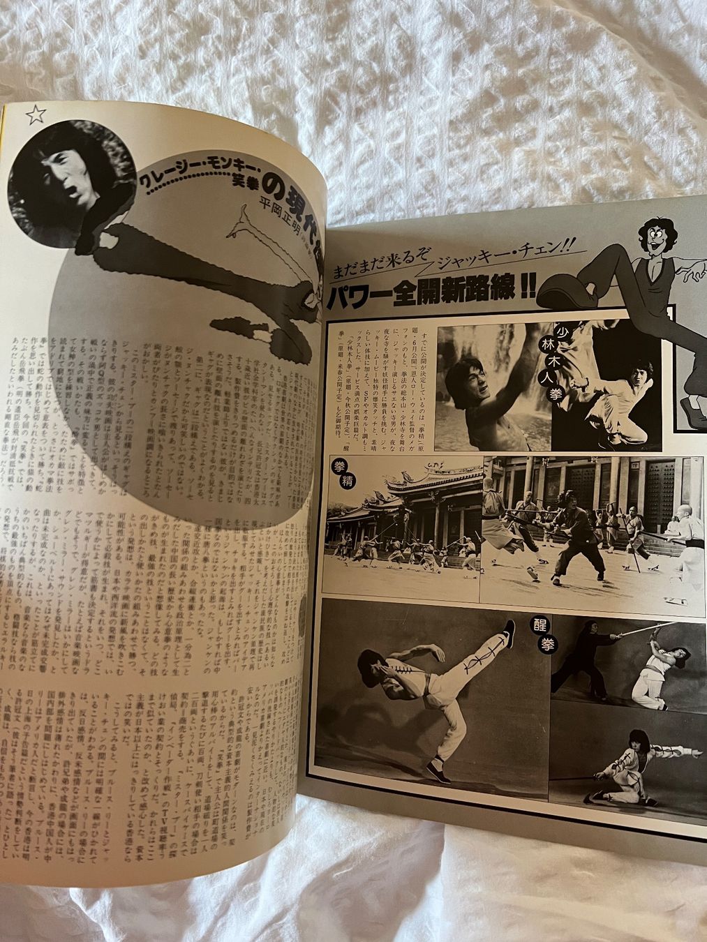 Libri: Jackie Chan, rares Crazy Monkey Booklet, A4-Grösse – Usato da Iragna venduto da Flips03 3