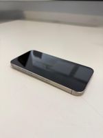 Apple iPhone 15 Pro Max 256 GB – Silber – Top Zustand