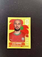 Panini MAR 10