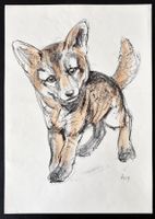 Originallithografie "Junger Fuchs" handkoloriert Fritz Hug