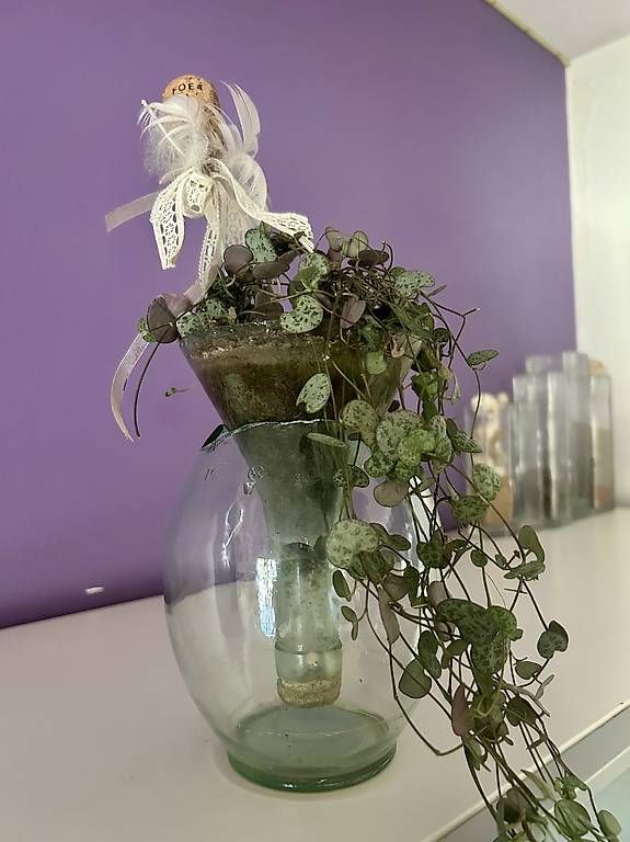 Tutte le decorazioni: Bepflanzung im Flaschenhals – Usato da Frauenfeld venduto da Irene.Schuppli 1