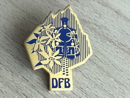Pin DFB Dampfbahn