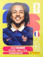 Panini FIFA World Cup FRA 5