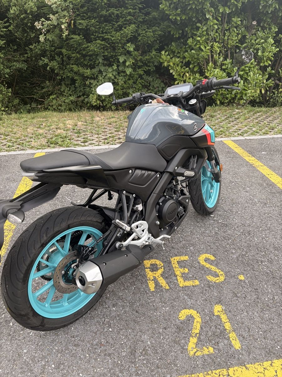 Yamaha Strada: MT-125 A Tiefergelegt – Usato da Mollis venduto da has_ddc8 7