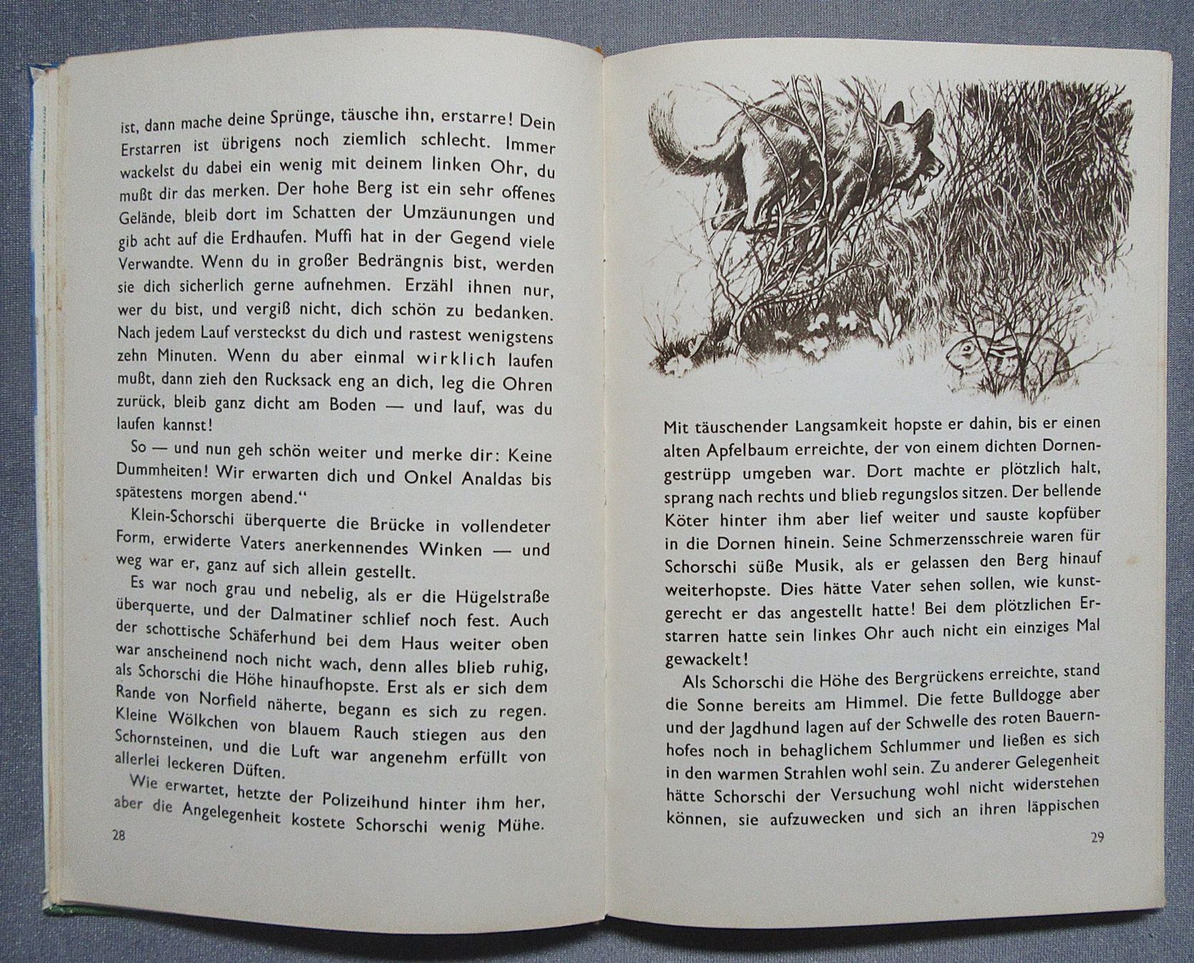 Bücher: Glückliche Tage - Eine Hasengeschichte von Robert Lawson – Gebraucht aus Auenstein von Padabimbim 5