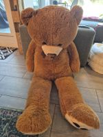 XXL Teddybär sucht neues Zuhause - Ideal für Kinder!