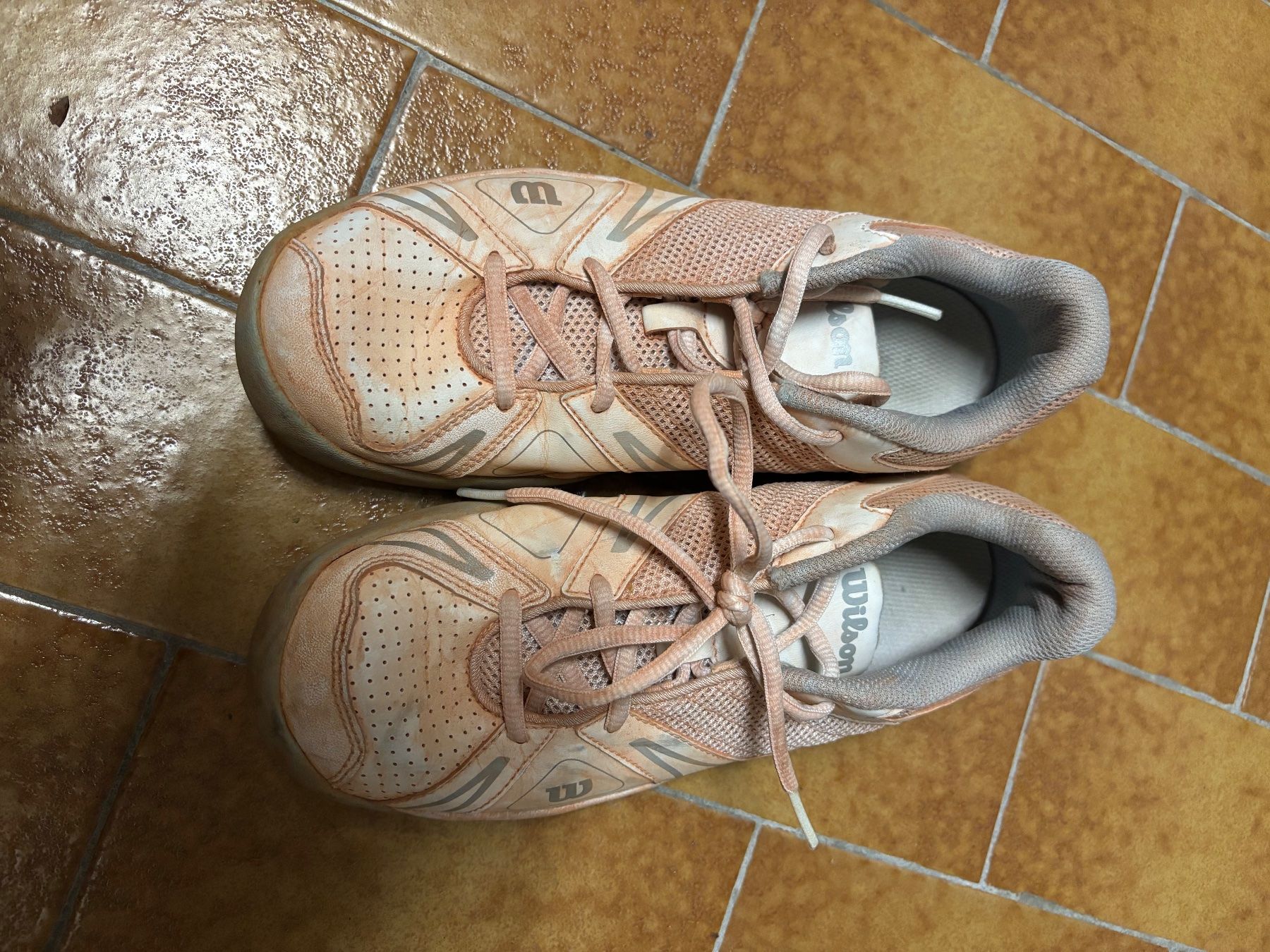 Wilson Herrenschuhe: Wilson Schuhe – Gebraucht aus ZOLLIKON von FamilleArleti