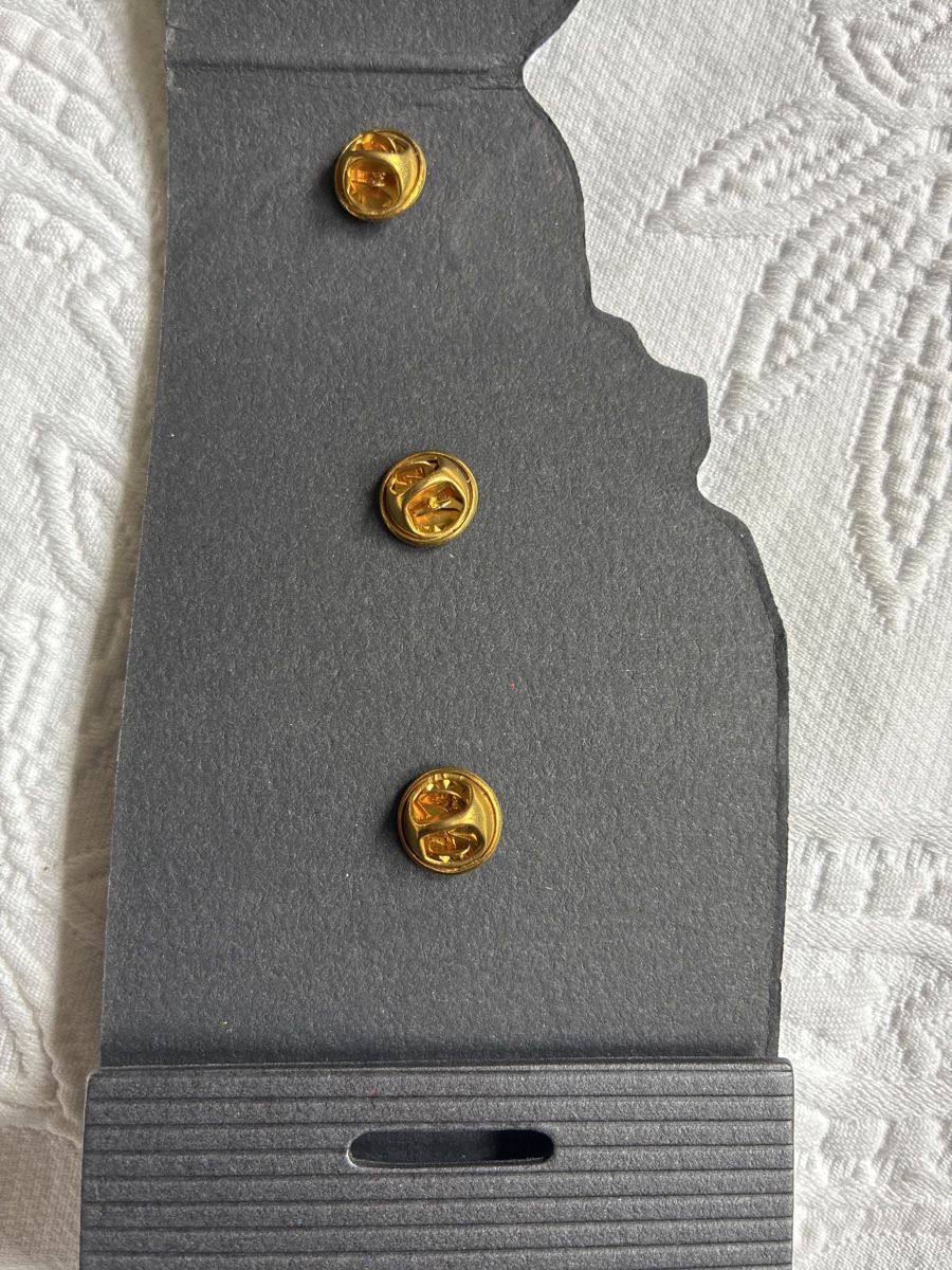 Placchette & Badge: Schweizer Wahrzeichen Pins - Swiss Collection - Neu! – Nuovo (secondo la descrizione) da Ebnat-Kappel venduto da ponyhales 1