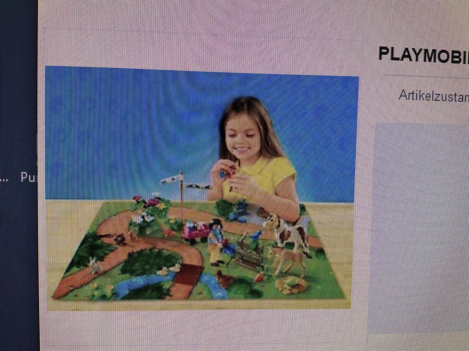 Giocattoli: Playmobil 9331 Play Map Ponyausflug – Usato da Winterthur venduto da aionila 3