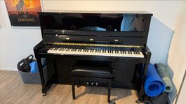 Schimmel Klavier TwinTone - schwarz Lack mit Hocker/Metronom