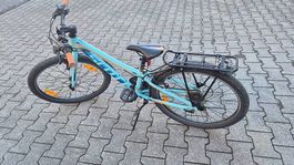 Velo Scott