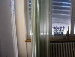 Gardine hellgrün 215x 145