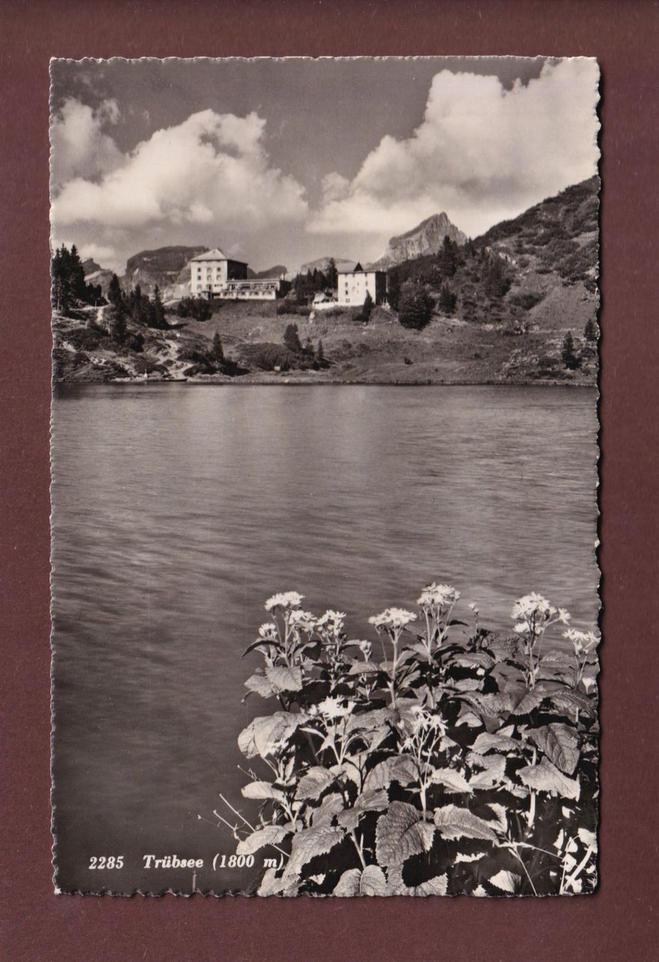 Cartes postales: TRÜBSEE – D'occasion à Pully par nicecards-shop