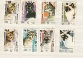 1985 Cambodge Chats Domestiques Ø