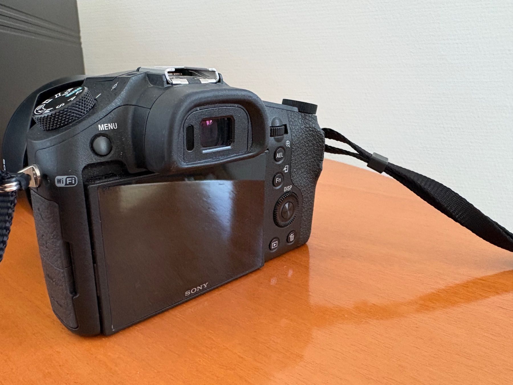 Sony Fotocamera: Sony RX10 Mark I – Usato da Bubendorf venduto da chris211 2
