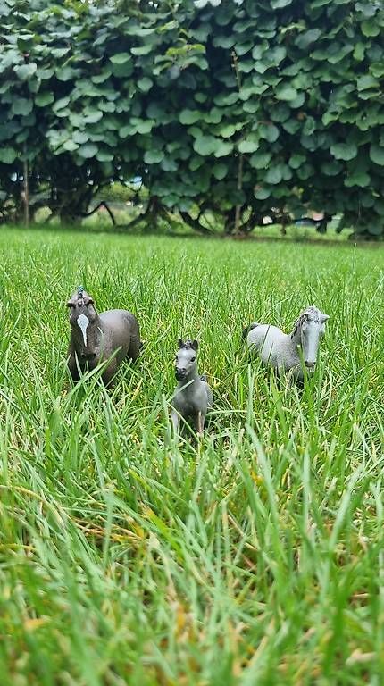 Figuren: Poulain Schleich  – Gebraucht aus St-Sulpice VD von rog_c28g 2