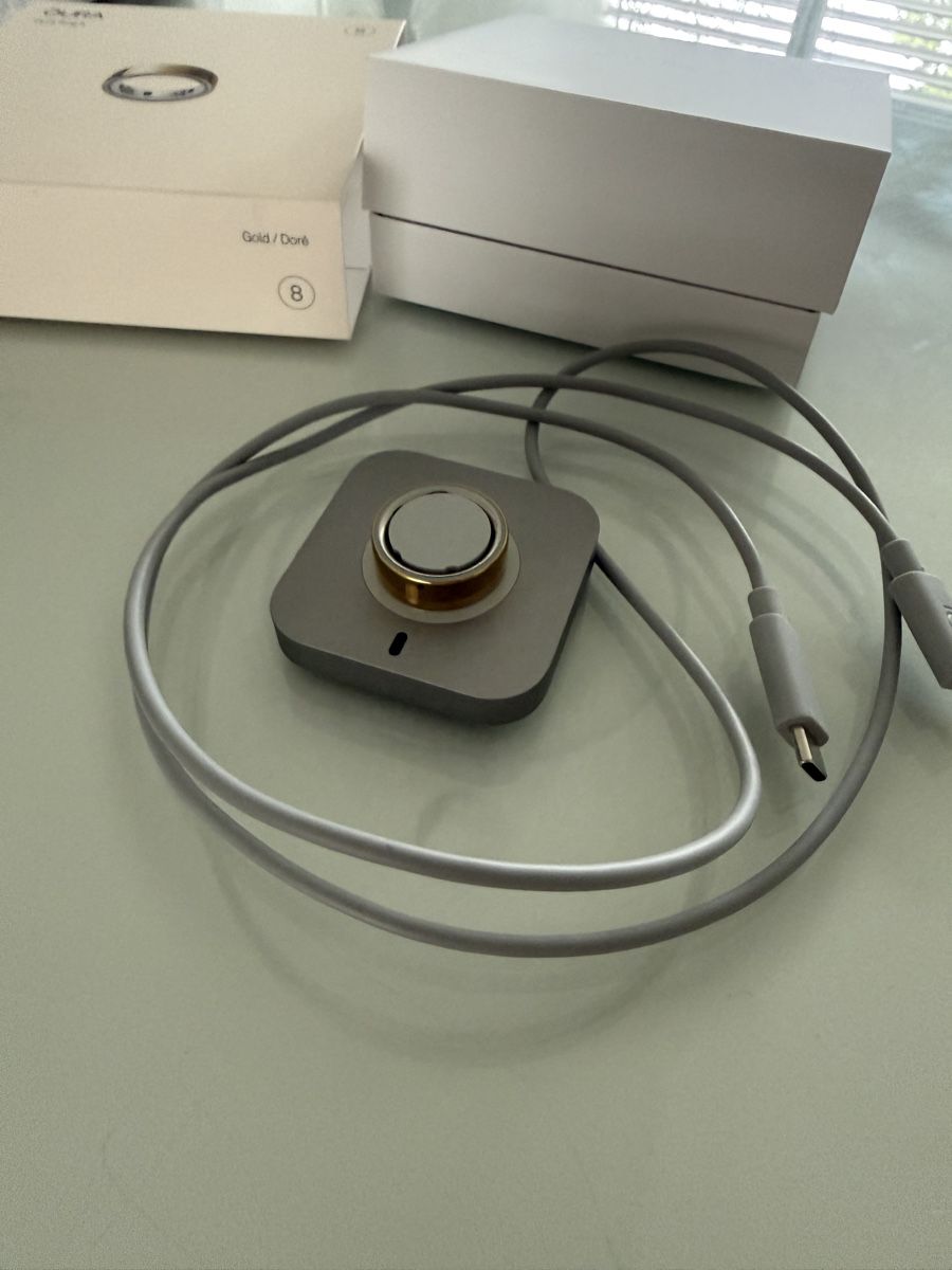 Oura Ringe: Oura Ring 4 Smart Ring Gold Grösse 8 – Defekt aus Niederwil AG von Elisa_Mrs 4