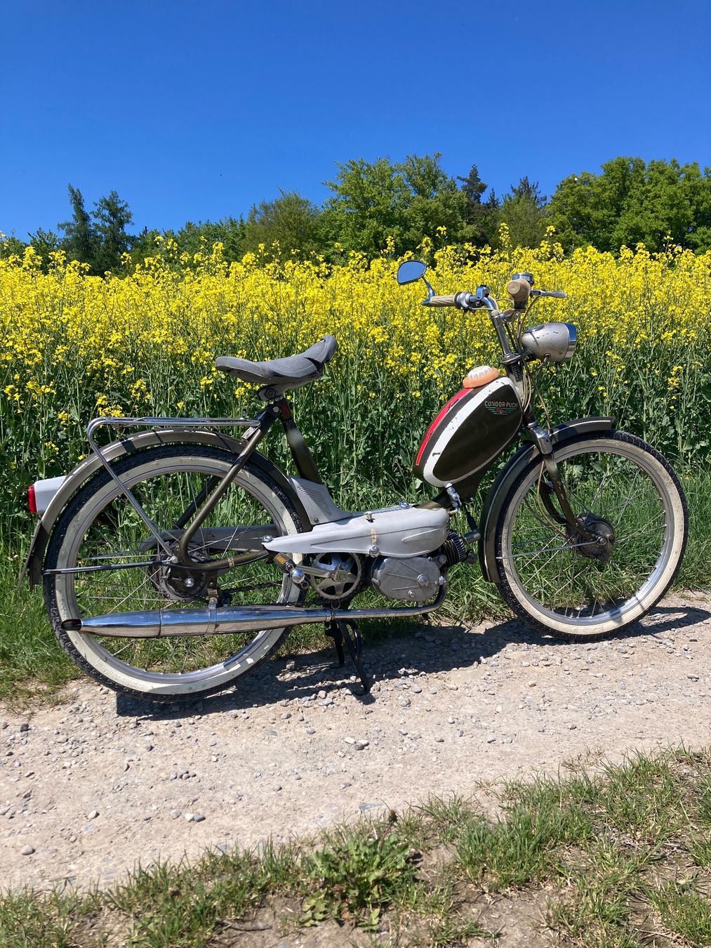 Condor Ciclomotori: Puch Velux X30 – Usato da Niederwangen BE venduto da drizabone