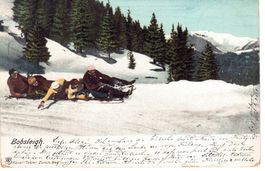 1904 Bobsleigh Arosa