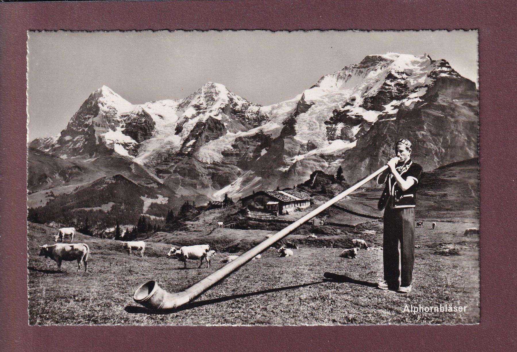 Cartes postales: ALPHORNBLÄSER - Eiger - Mönch - Jungfrau – D'occasion à Pully par nicecards