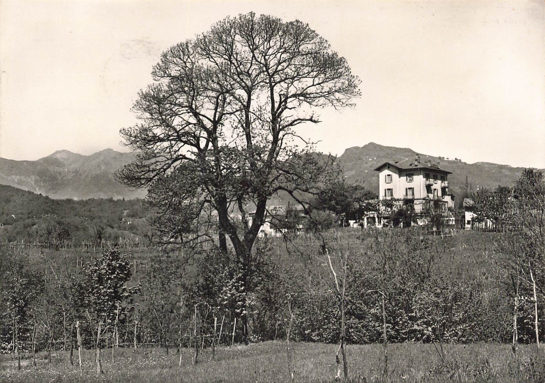 Cartoline postali: Albergo stazione Dino G – Usato da Biasca venduto da Blenio71
