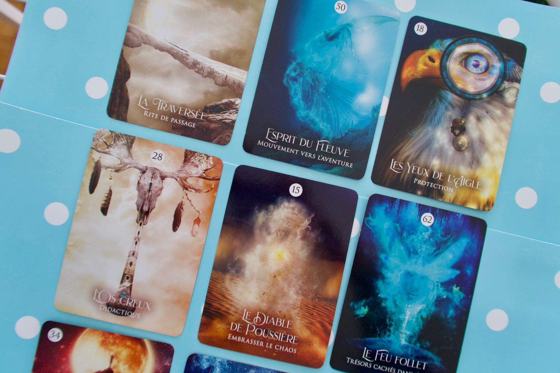 Giochi: Le Rêve du Chaman, cartes oracle – Nuovo (secondo la descrizione) da Lausanne venduto da Etoile96 7