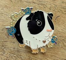 Süsser Pin Meerschweinchen