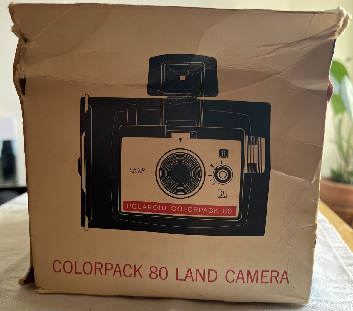 Polaroid Fotocamera: Polaroid Colorpack 80 Land Camera – Usato da Dino venduto da ani_ypr9 2