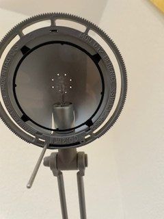 Luceplan Lampen: Luceplan Berenice LED D12 – Gebraucht aus Reinach AG von joric06 4