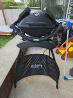 Weber Q Gasgrill