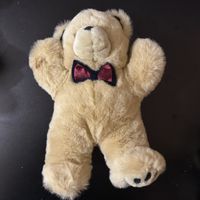 Ours en peluche très douce 