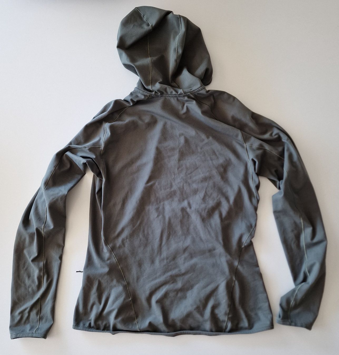 Arcteryx Giacche: Arcteryx Adahy Hoody – Usato da Aarau Rohr venduto da Ricardo09 1