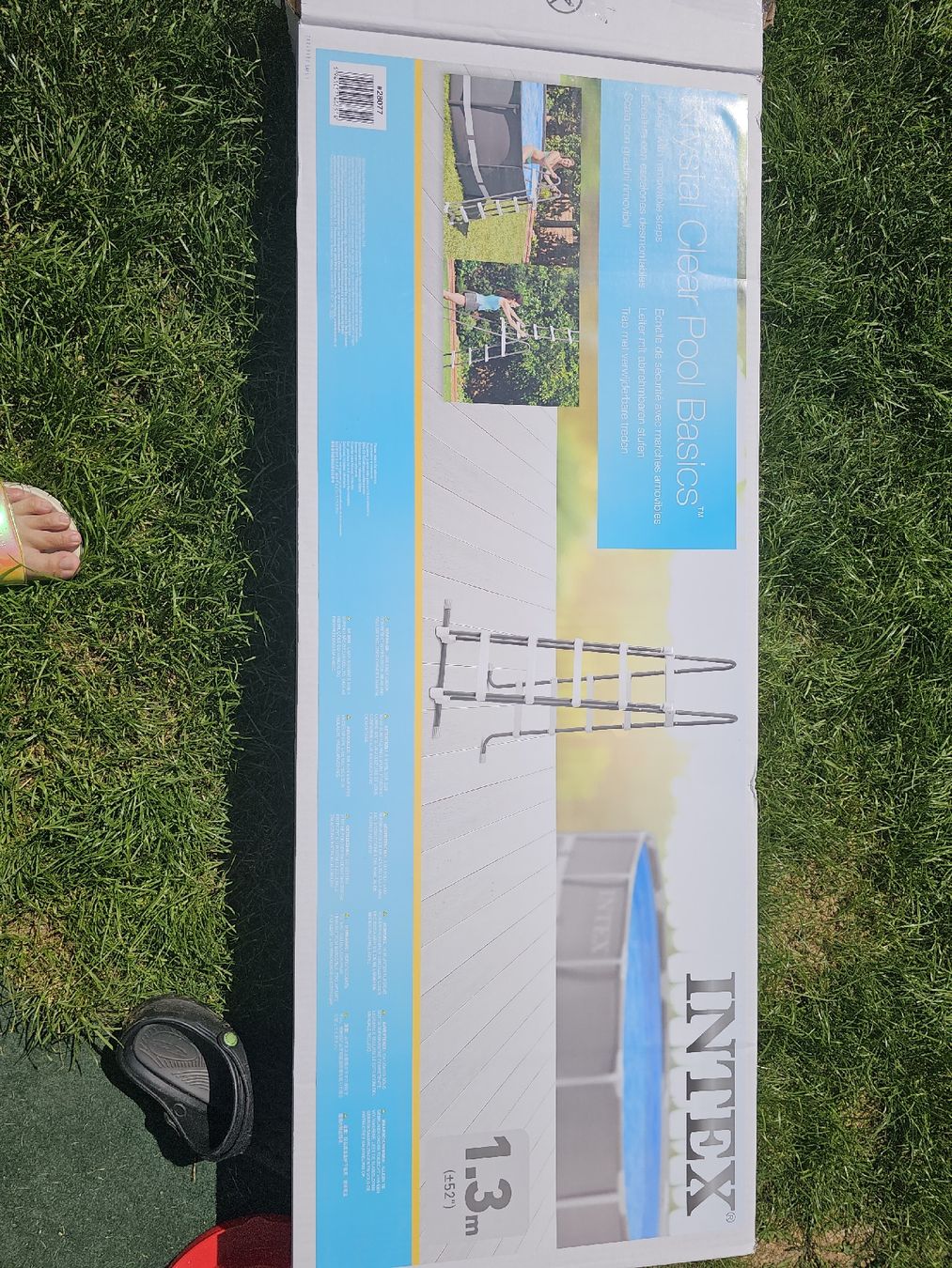 Scale: Intex Pool Leiter – Nuovo (secondo la descrizione) da Brüttisellen venduto da Miralaurea