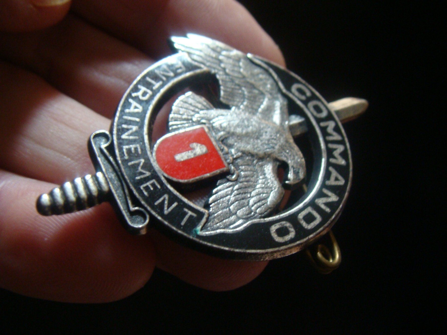 Plaquettes & Badges: Insigne ,ilitaire, commando d'entrainement. – D'occasion à Cuarny par hen_g7hn